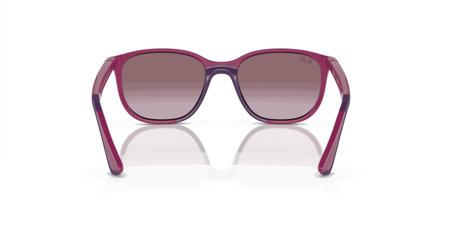 [Violet Lenses, Polished Fuchsia On Violet Frame]