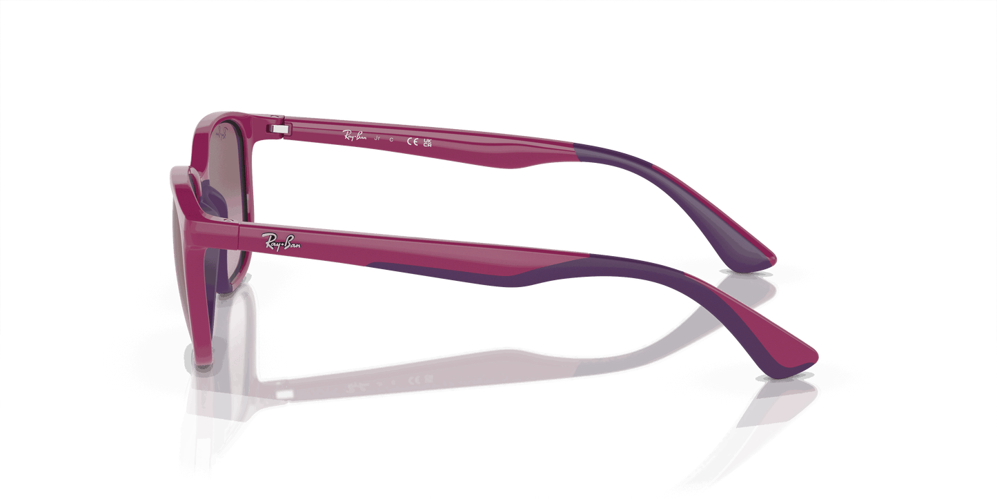 [Violet Lenses, Polished Fuchsia On Violet Frame]