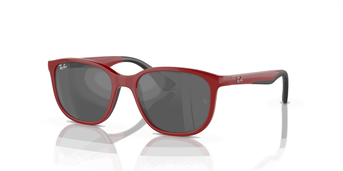 [Silver/Grey Lenses, Polished Red On Black Frame]