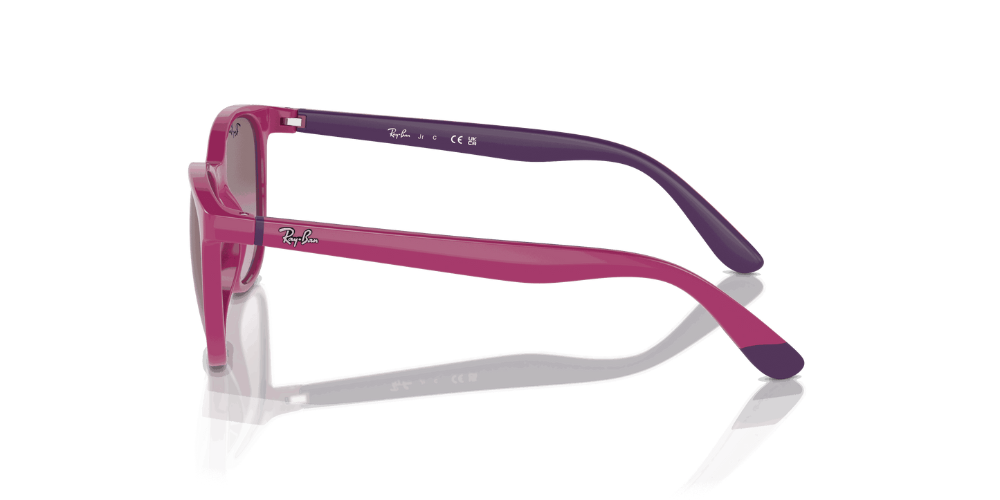 [Violet Lenses, Polished Fuchsia On Violet Frame]