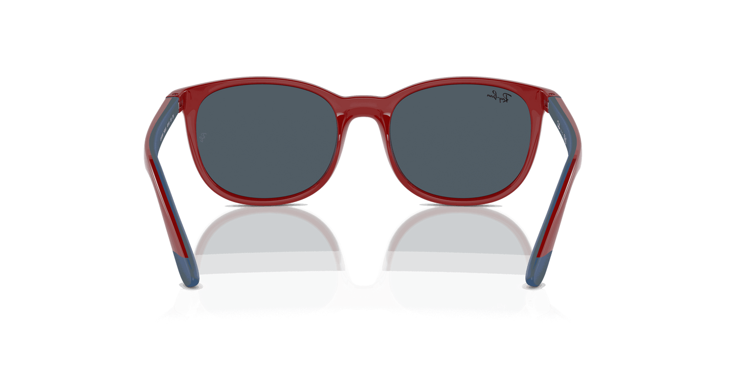 [Dark Blue Lenses, Polished Red On Blue Frame]