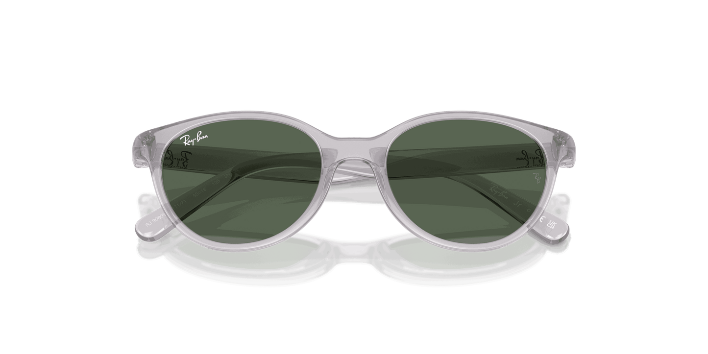 [Dark Green Lenses, Polished Transparent Grey Frame]