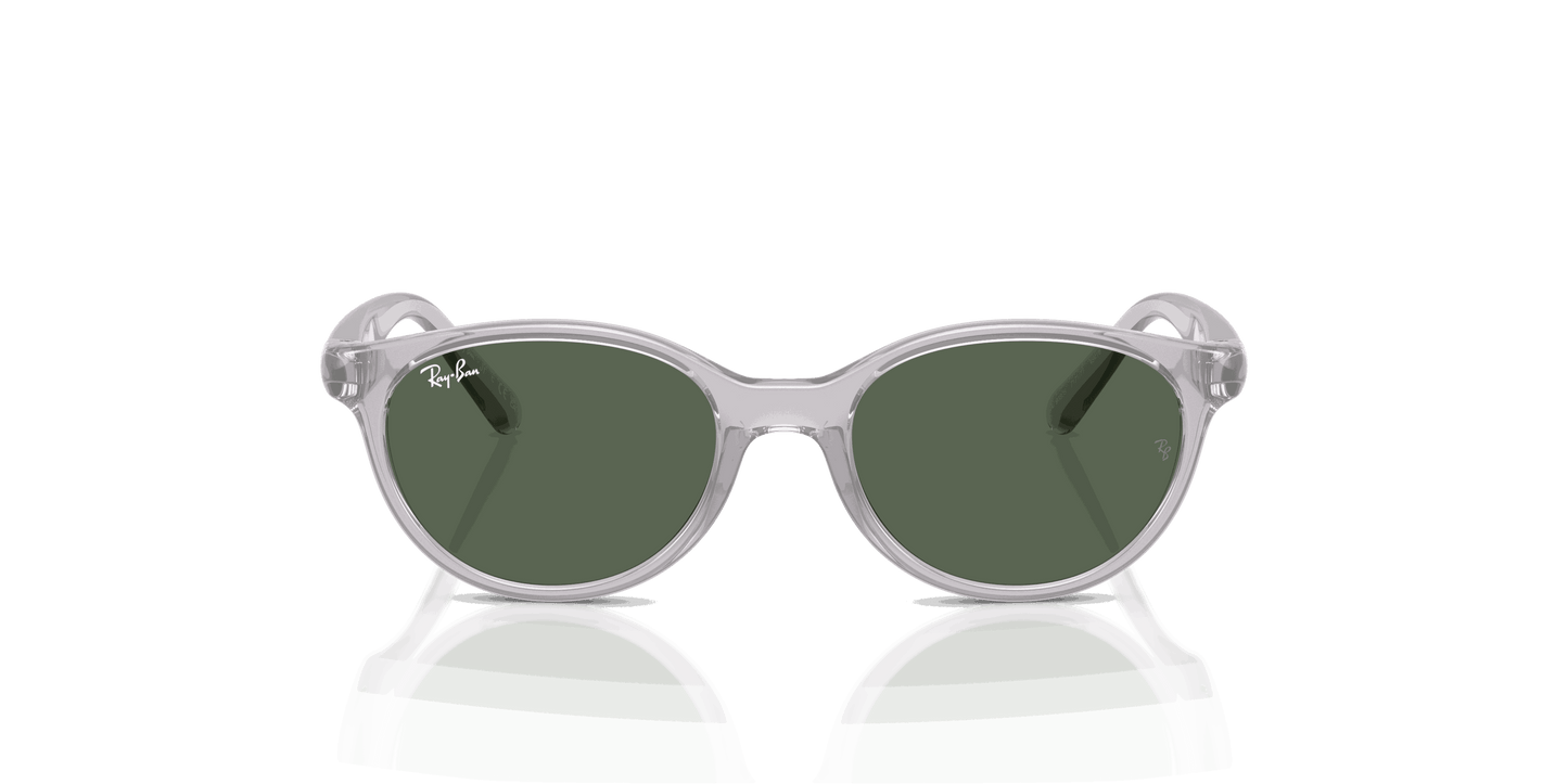 [Dark Green Lenses, Polished Transparent Grey Frame]