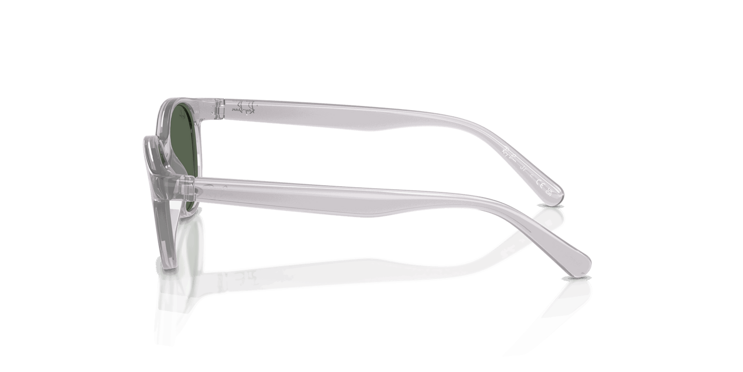 [Dark Green Lenses, Polished Transparent Grey Frame]