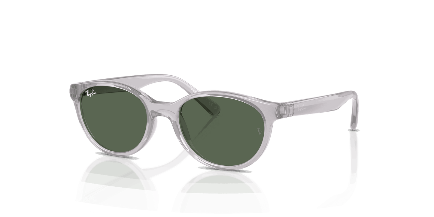 [Dark Green Lenses, Polished Transparent Grey Frame]