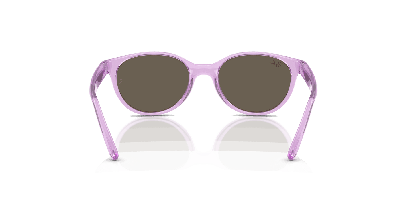[Brown Lenses, Polished Transparent Violet Frame]