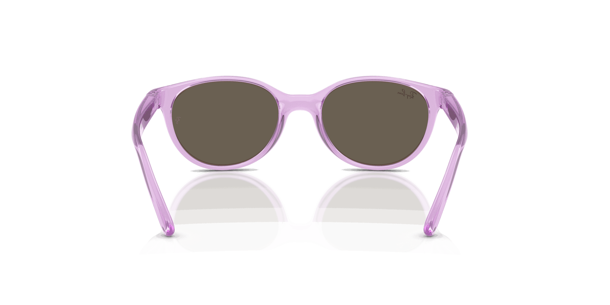 [Brown Lenses, Polished Transparent Violet Frame]