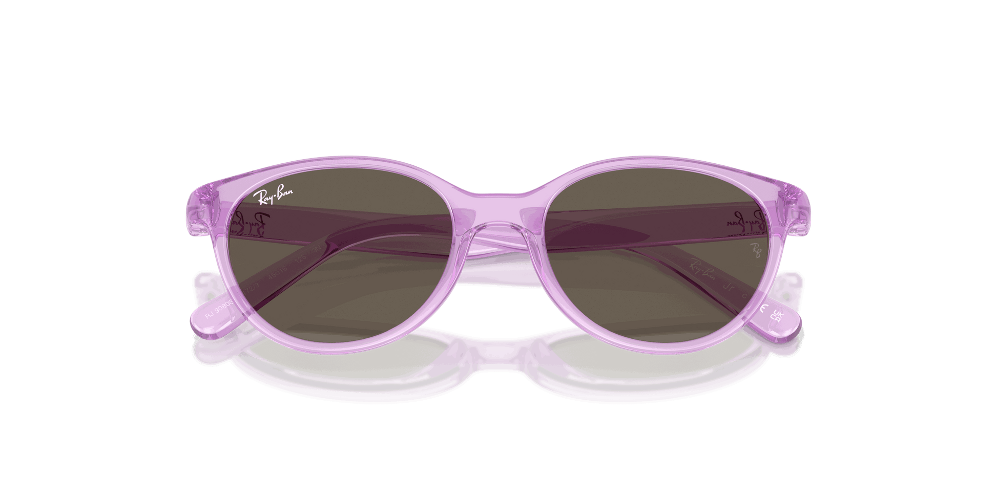 [Brown Lenses, Polished Transparent Violet Frame]