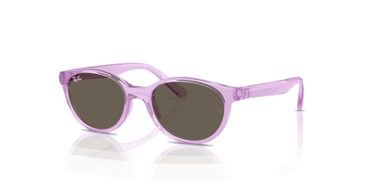 [Brown Lenses, Polished Transparent Violet Frame]