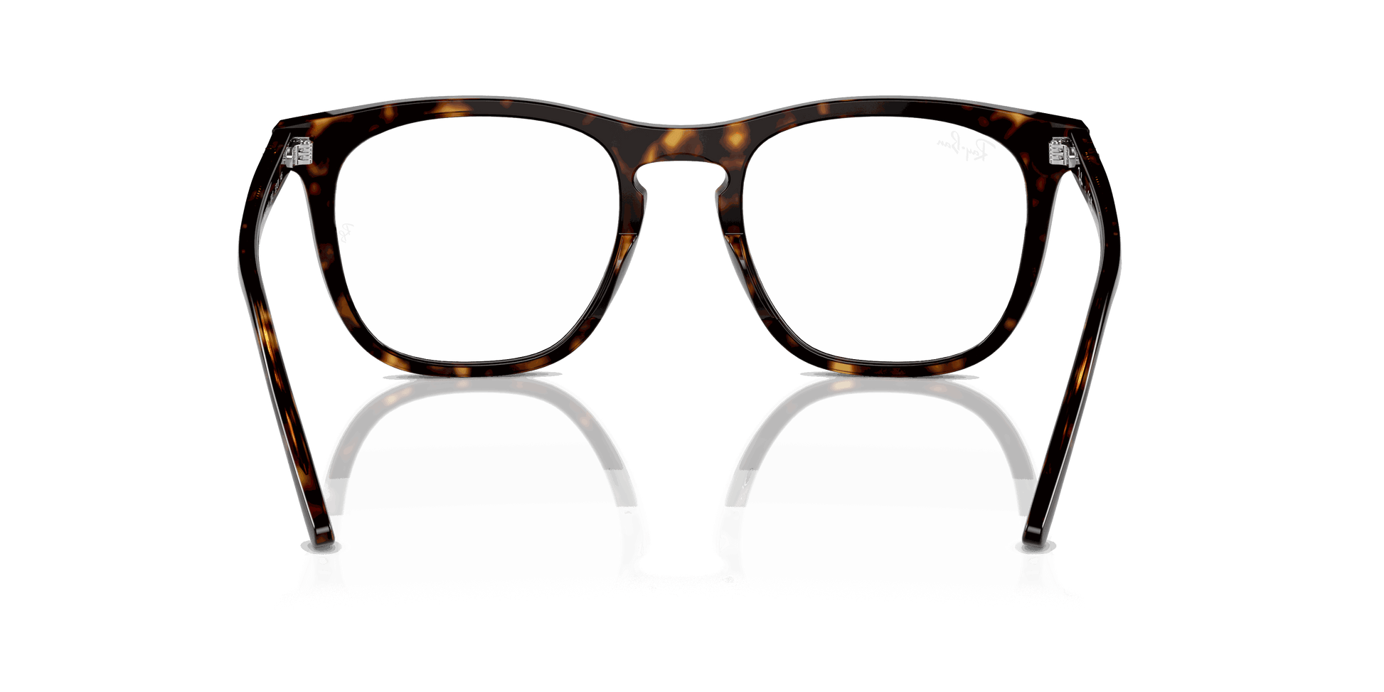 [Clear Lenses, Polished Havana Frame]