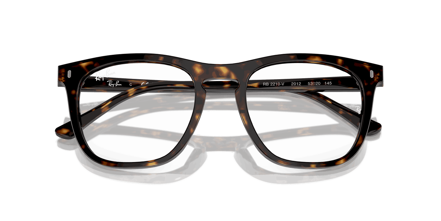 [Clear Lenses, Polished Havana Frame]