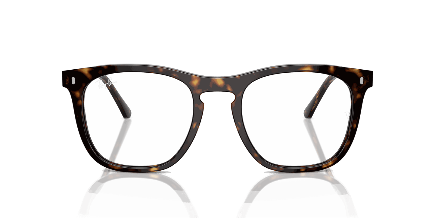 [Clear Lenses, Polished Havana Frame]