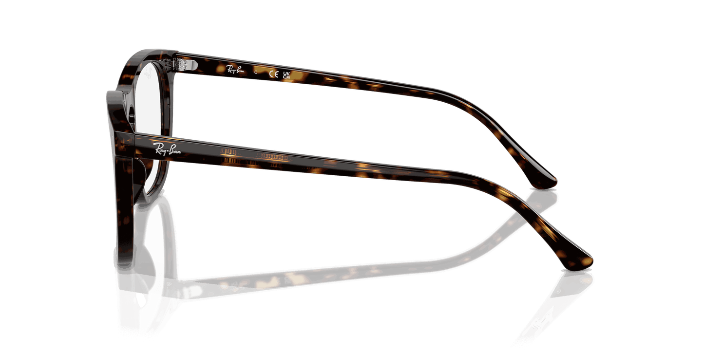 [Clear Lenses, Polished Havana Frame]