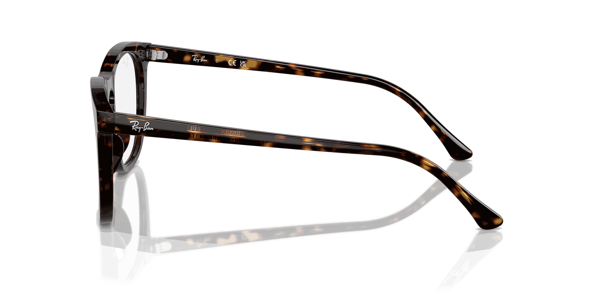 [Clear Lenses, Polished Havana Frame]