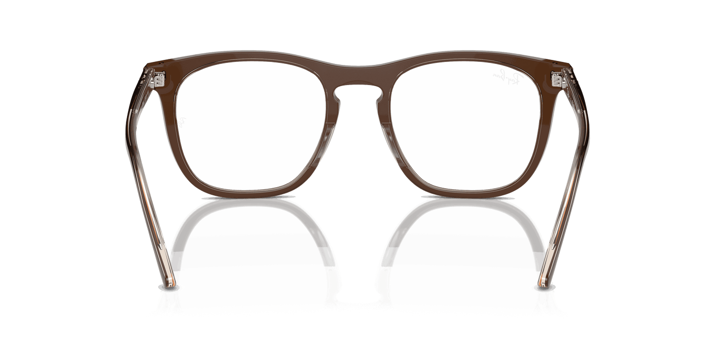 [Clear Lenses, Polished Brown On Transparent Light Brown Frame]