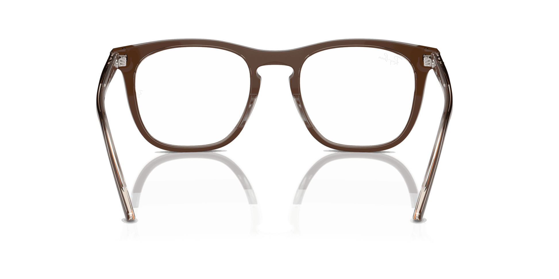 [Clear Lenses, Polished Brown On Transparent Light Brown Frame]