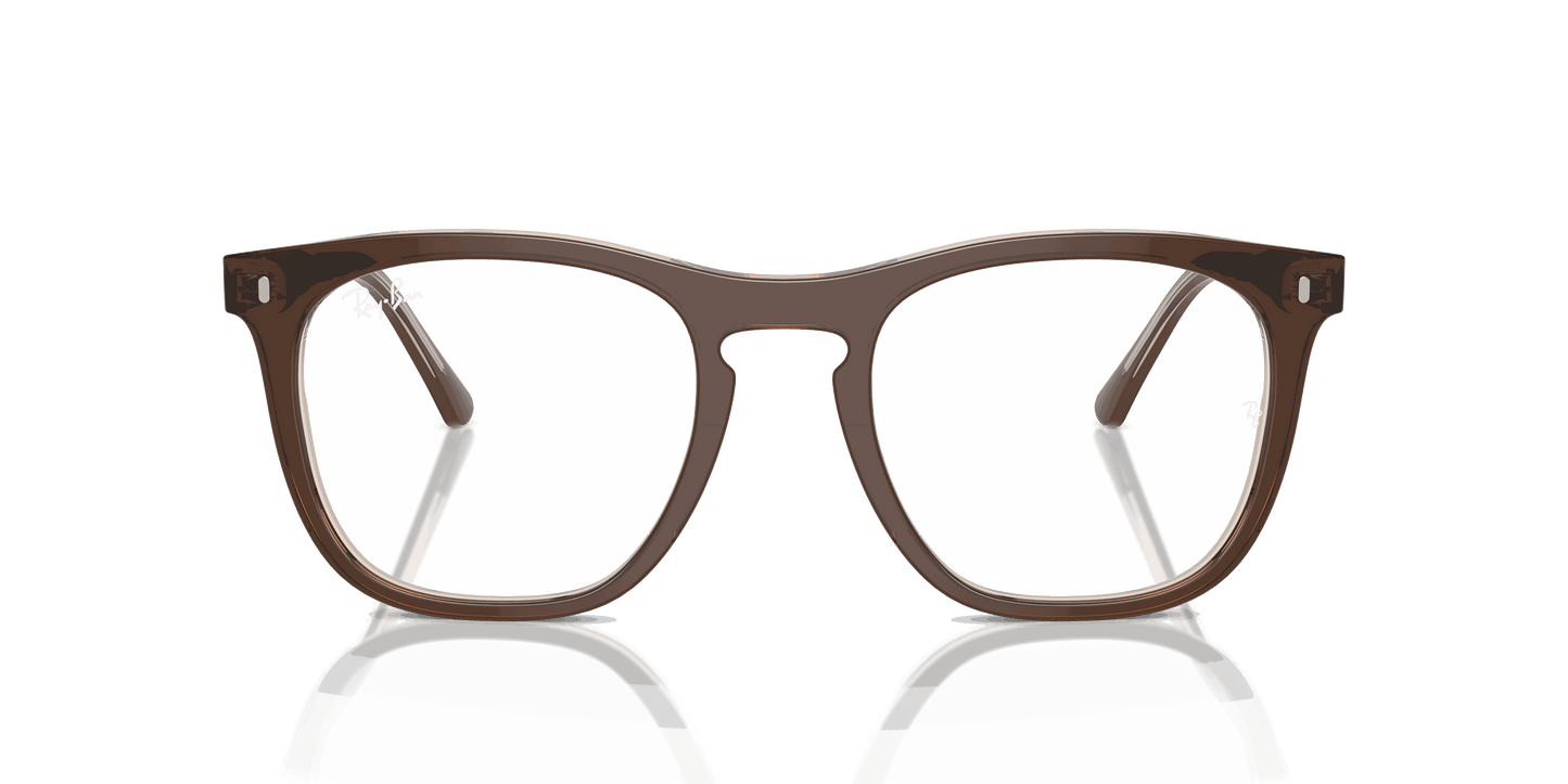 [Clear Lenses, Polished Brown On Transparent Light Brown Frame]