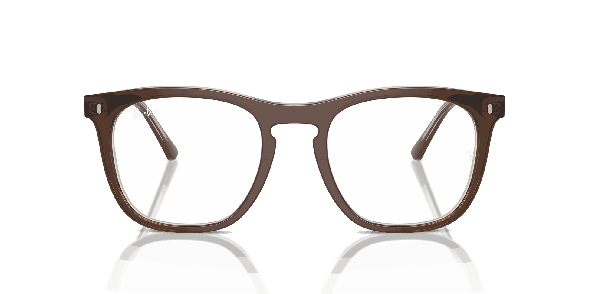[Clear Lenses, Polished Brown On Transparent Light Brown Frame]