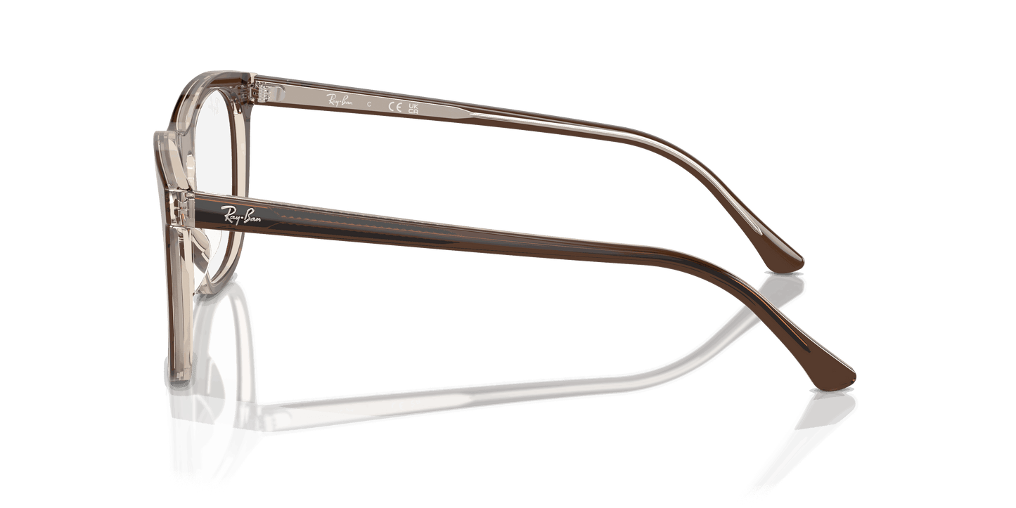 [Clear Lenses, Polished Brown On Transparent Light Brown Frame]