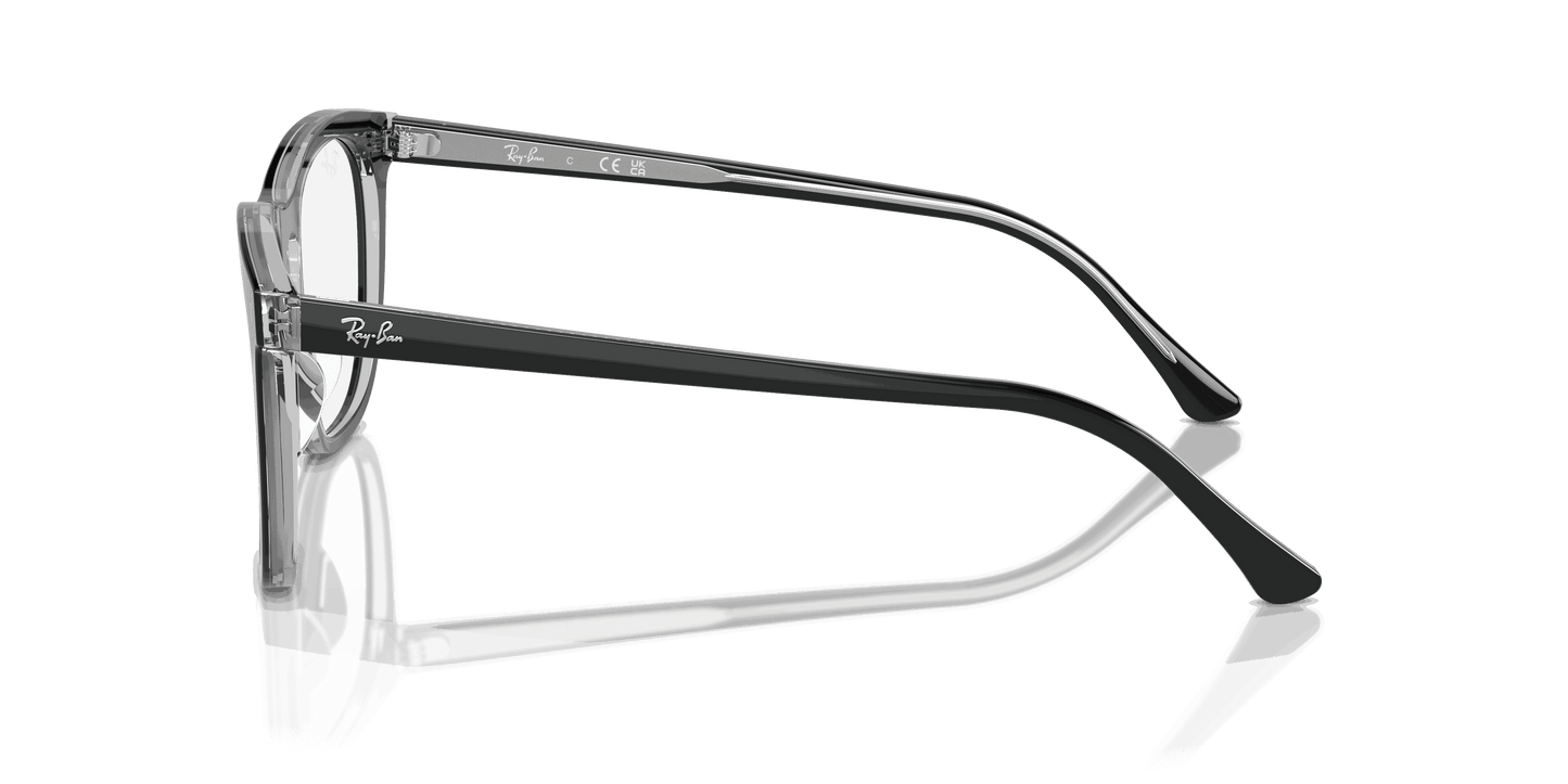 [Clear Lenses, Polished Dark Grey On Transparent Light Grey Frame]