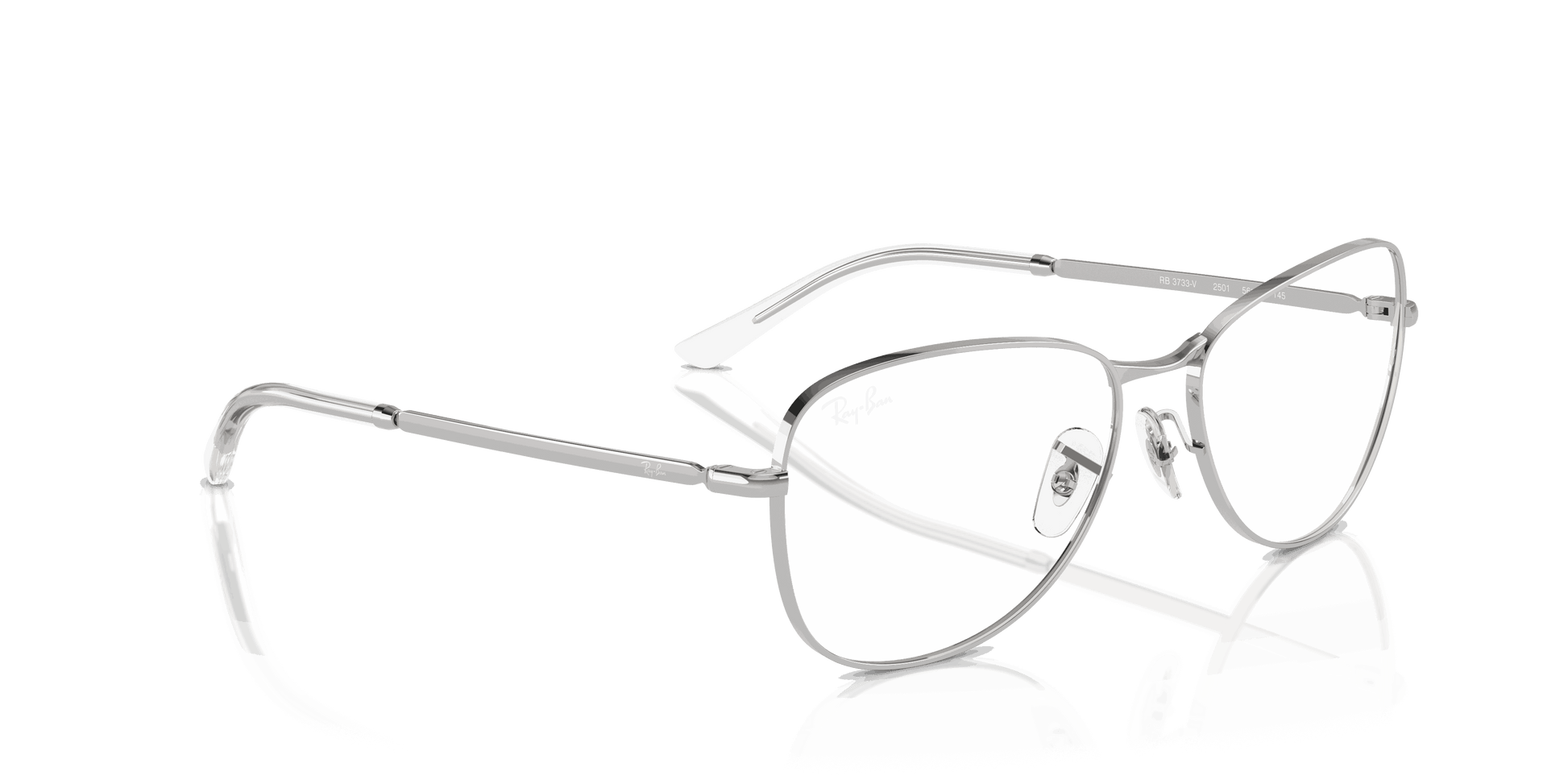 [Clear Lenses, Polished Silver Frame]