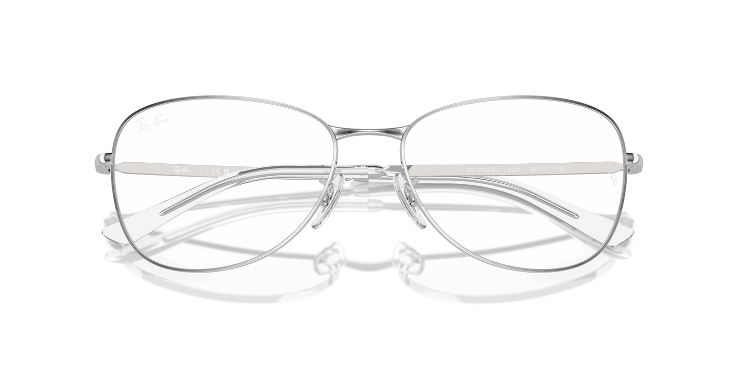 [Clear Lenses, Polished Silver Frame]