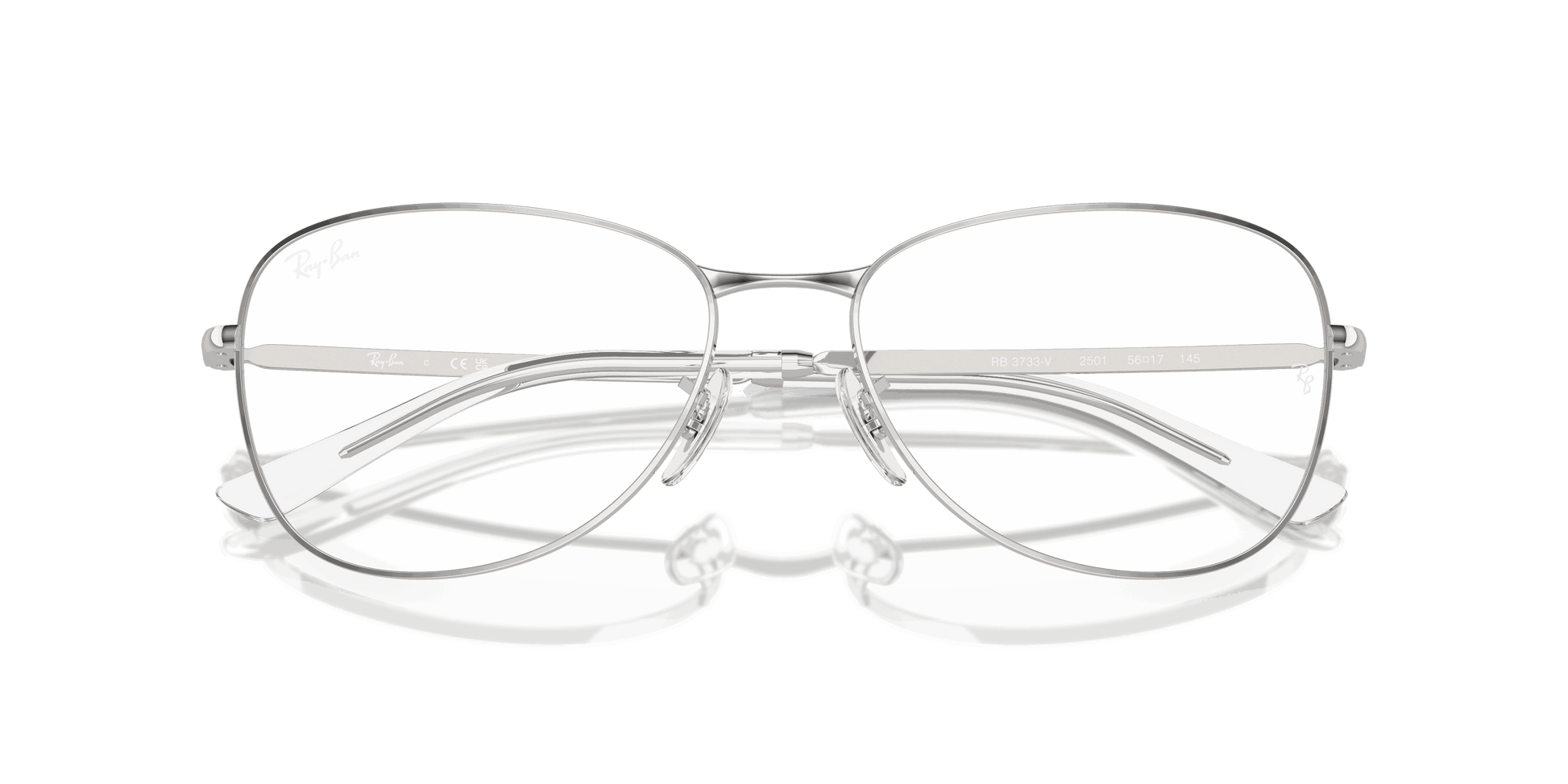 [Clear Lenses, Polished Silver Frame]