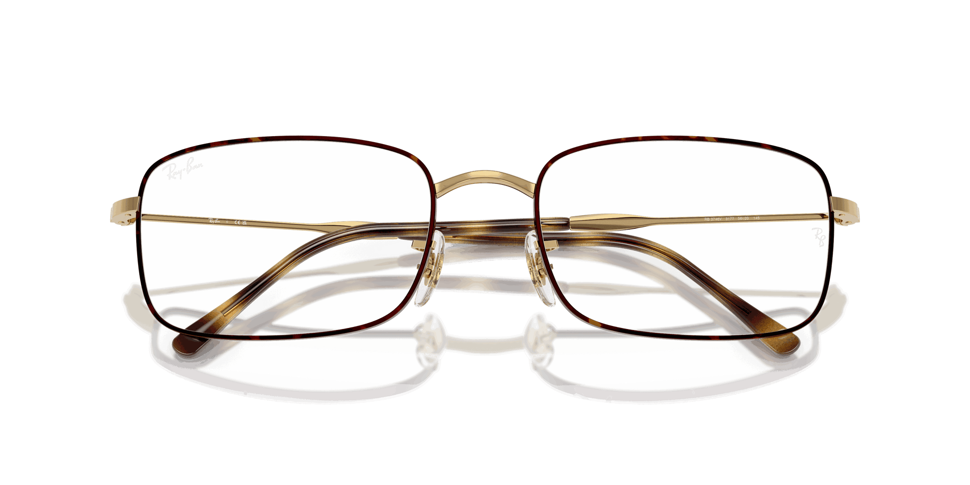 [Clear Lenses, Polished Havana On Gold Frame]