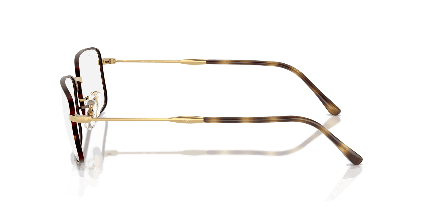 [Clear Lenses, Polished Havana On Gold Frame]