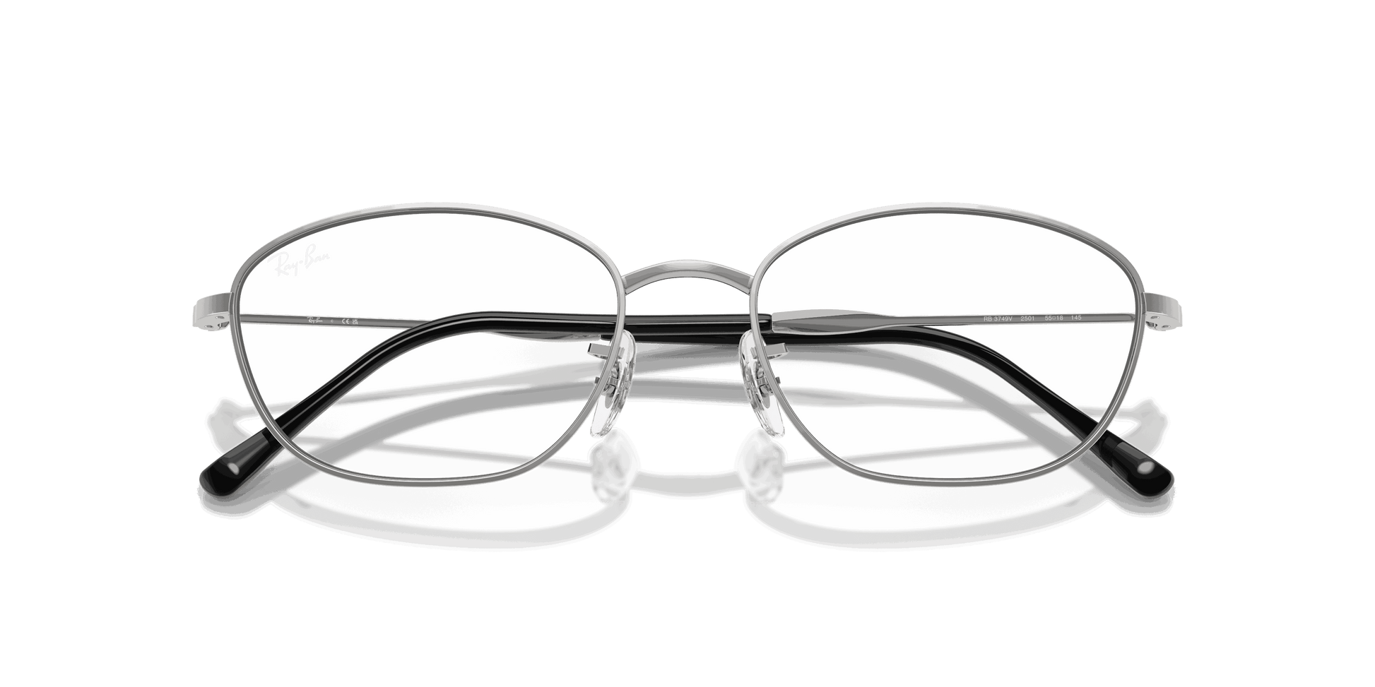 [Clear Lenses, Polished Silver Frame]