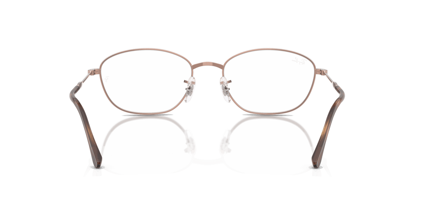 [Clear Lenses, Polished Copper Frame]