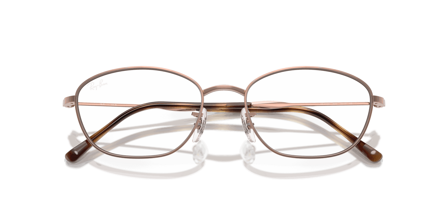 [Clear Lenses, Polished Copper Frame]