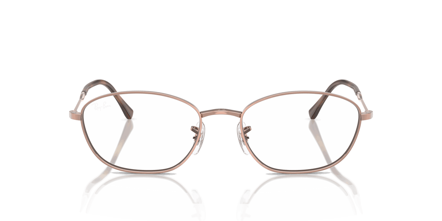 [Clear Lenses, Polished Copper Frame]