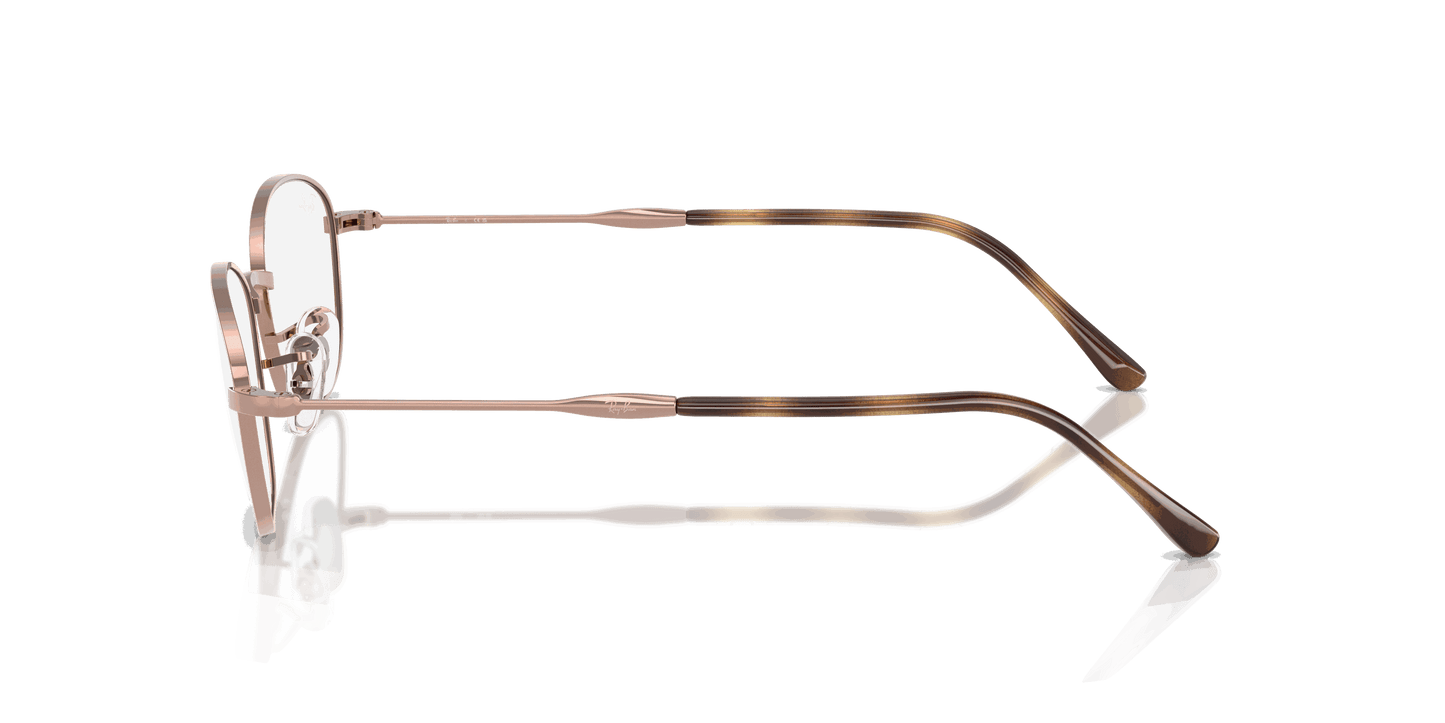[Clear Lenses, Polished Copper Frame]