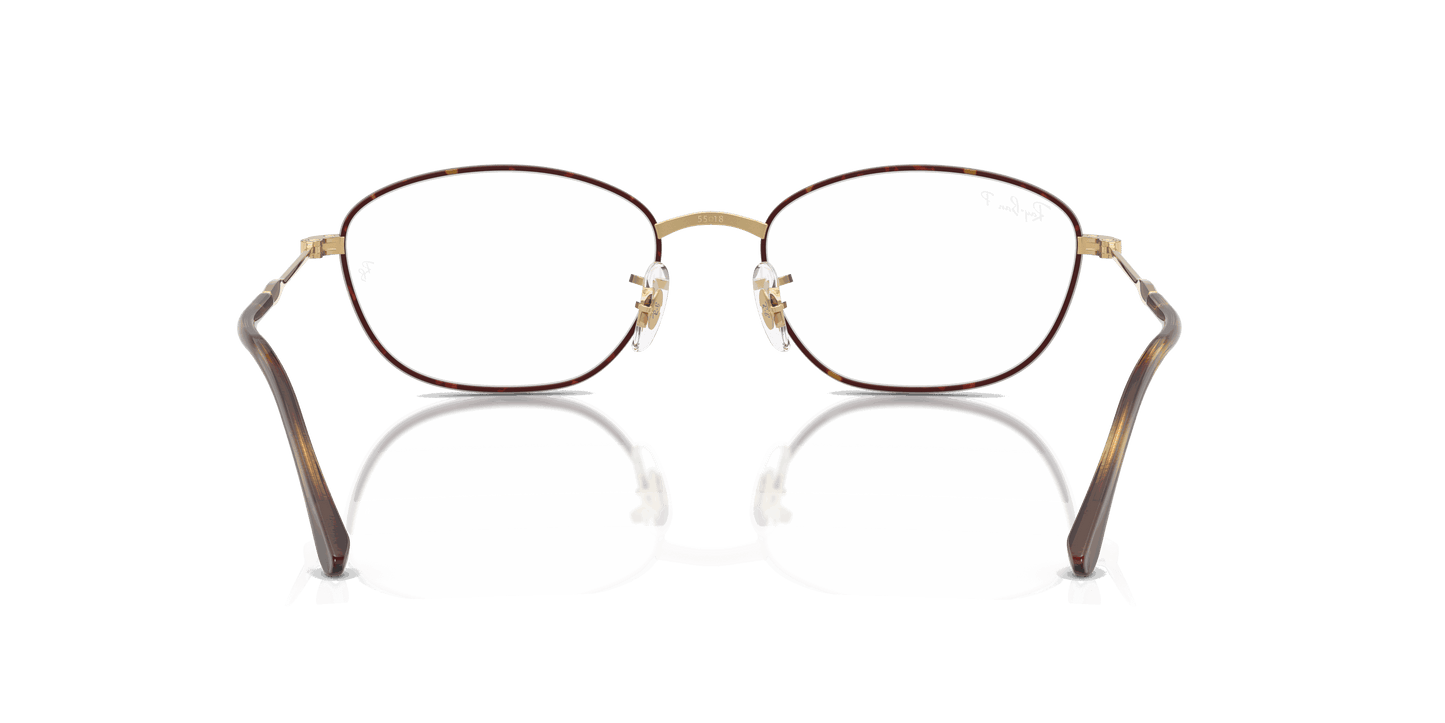 [Clear Lenses, Polished Havana On Gold Frame]