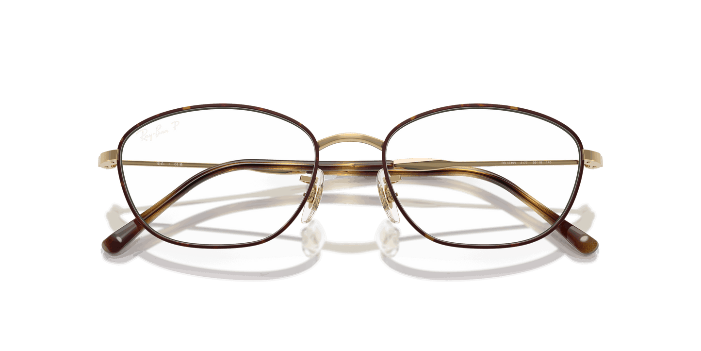 [Clear Lenses, Polished Havana On Gold Frame]