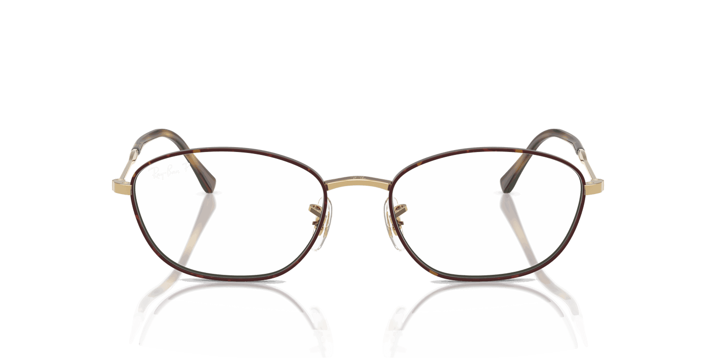 [Clear Lenses, Polished Havana On Gold Frame]