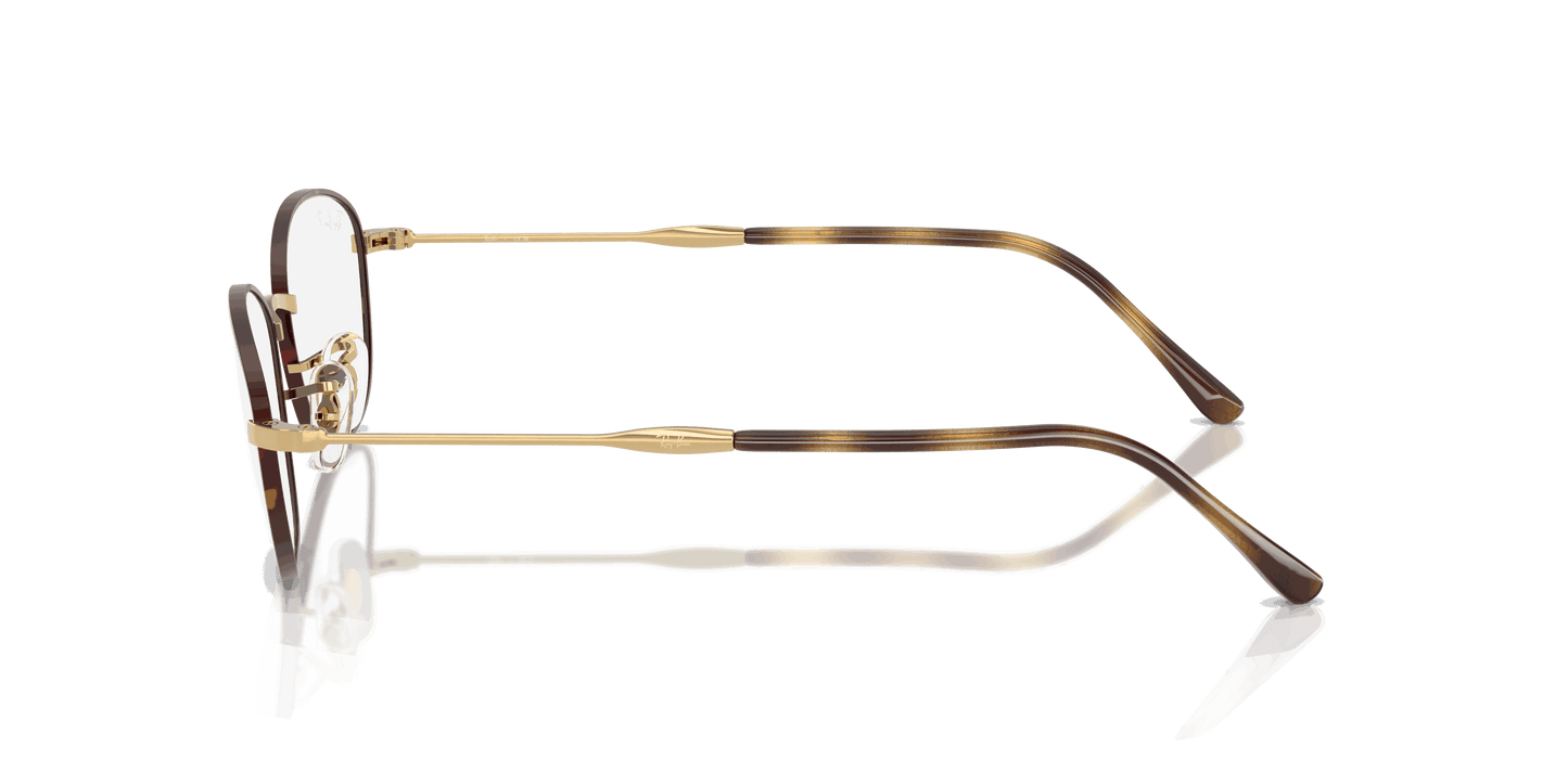 [Clear Lenses, Polished Havana On Gold Frame]