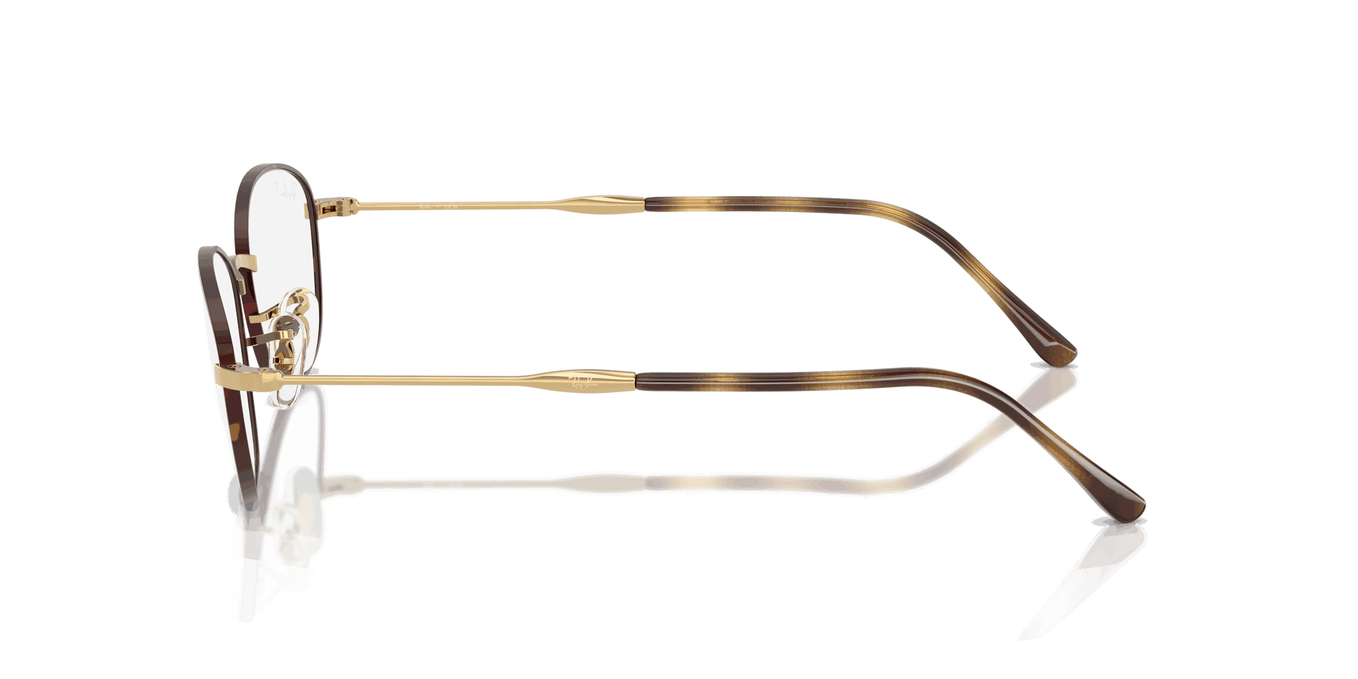 [Clear Lenses, Polished Havana On Gold Frame]