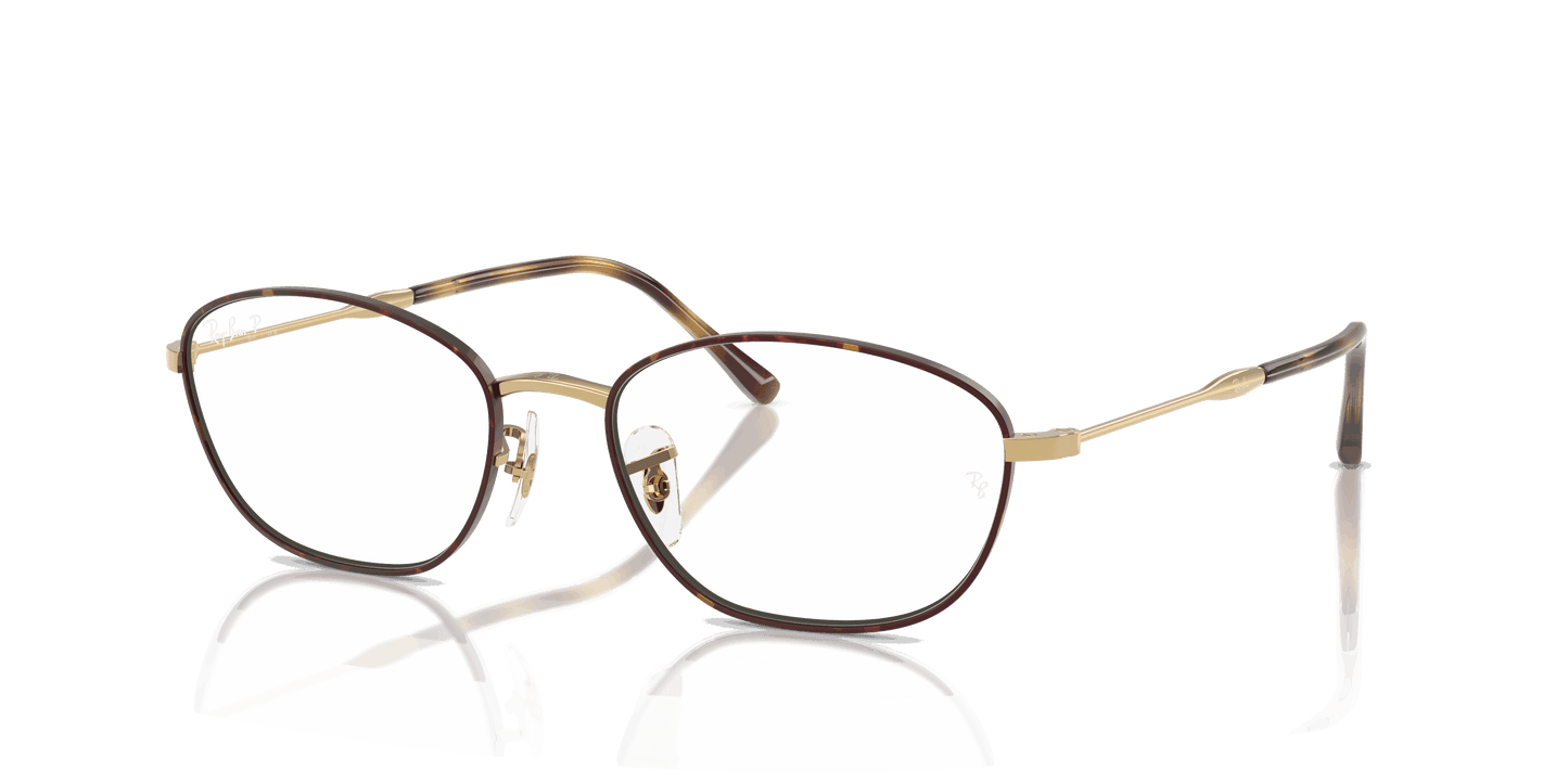 [Clear Lenses, Polished Havana On Gold Frame]