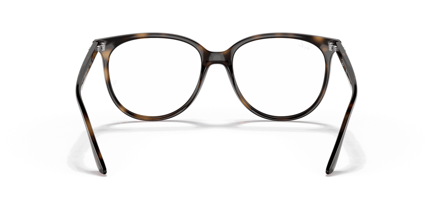 [Clear Lenses, Polished Havana Frame]