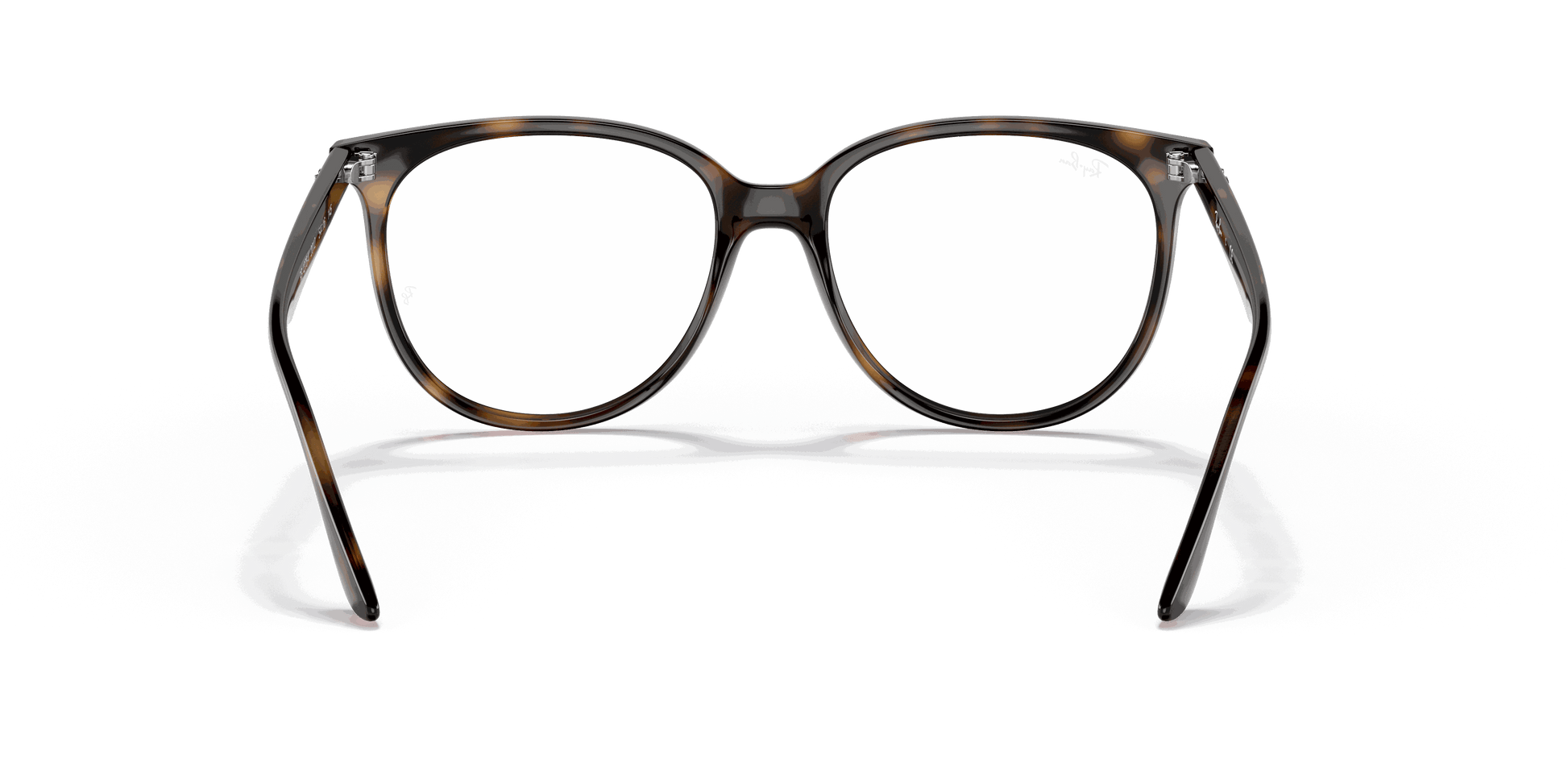 [Clear Lenses, Polished Havana Frame]