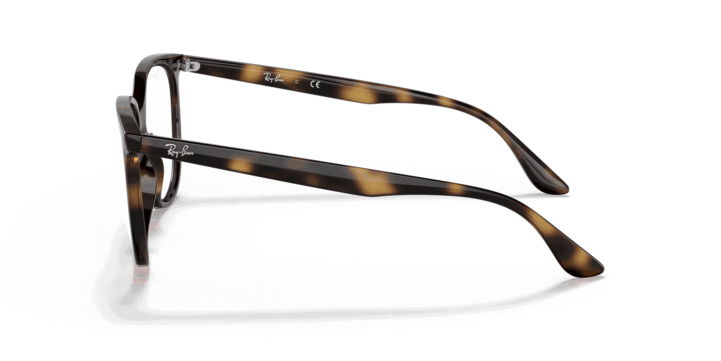 [Clear Lenses, Polished Havana Frame]