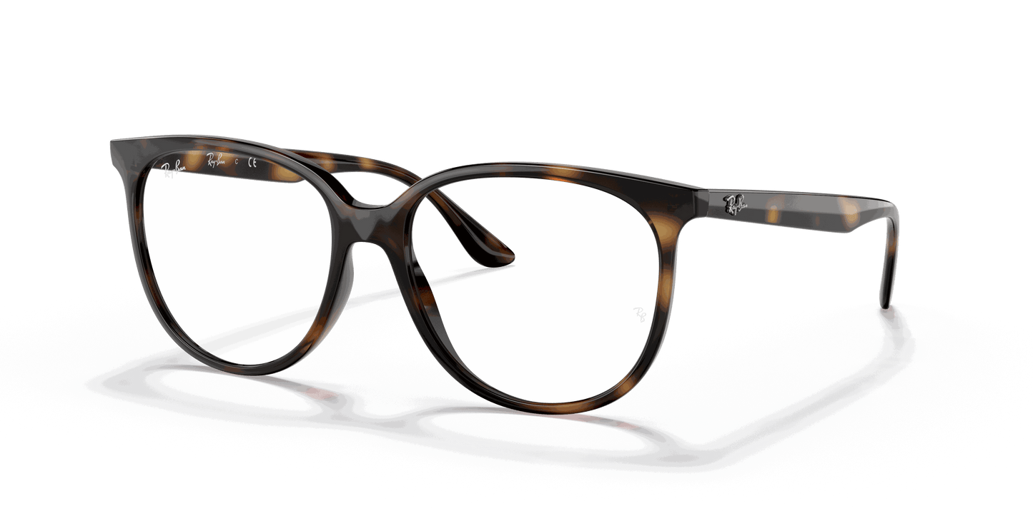 [Clear Lenses, Polished Havana Frame]