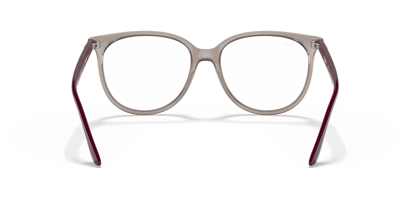 [Clear Lenses, Polished Transparent Grey Frame]