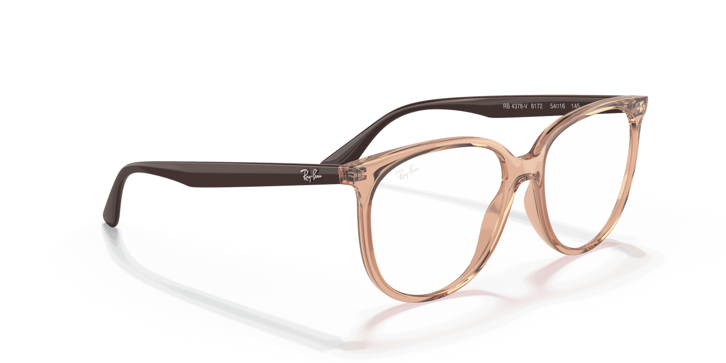 [Clear Lenses, Polished Transparent Brown Frame]