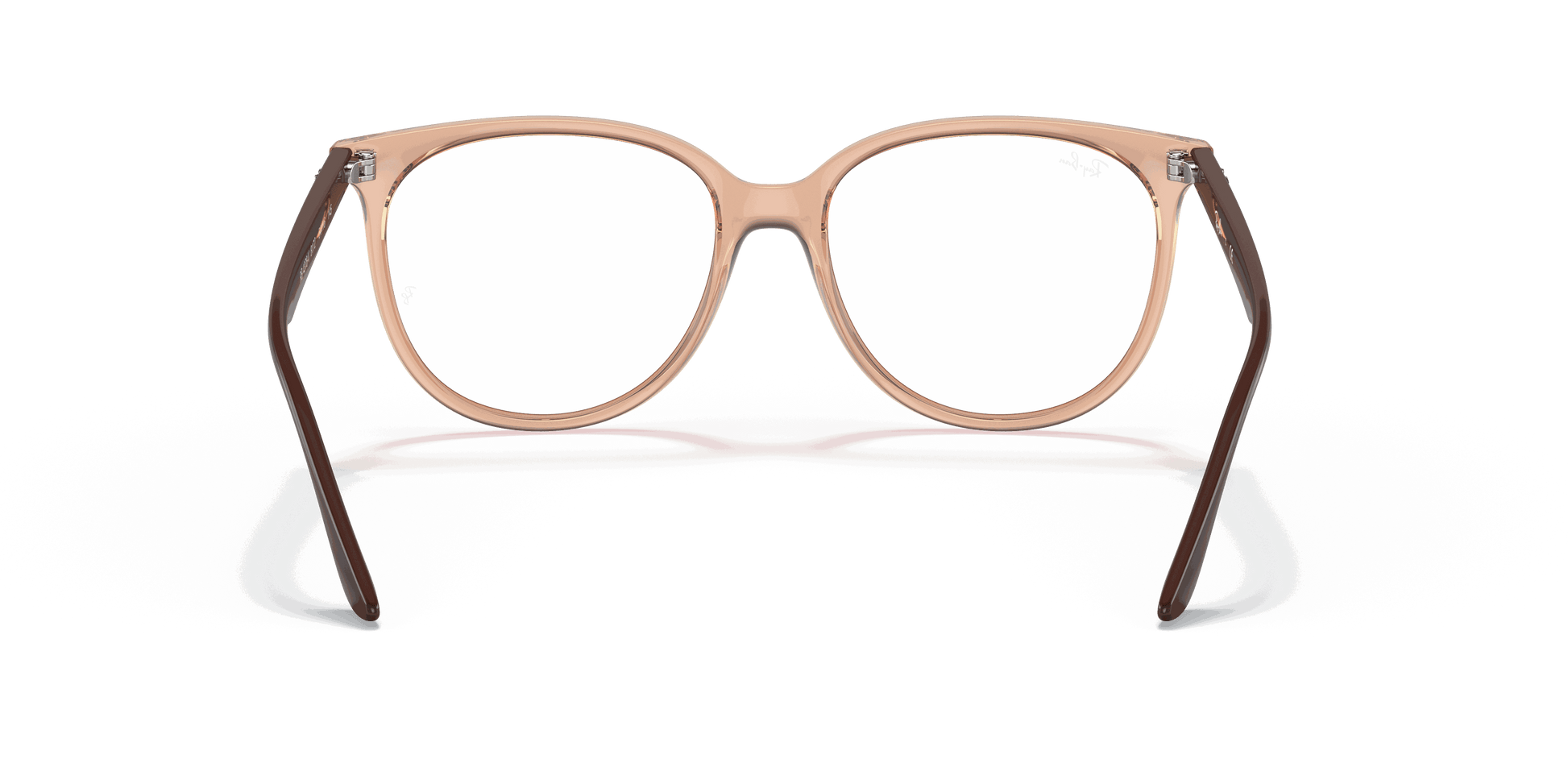 [Clear Lenses, Polished Transparent Brown Frame]