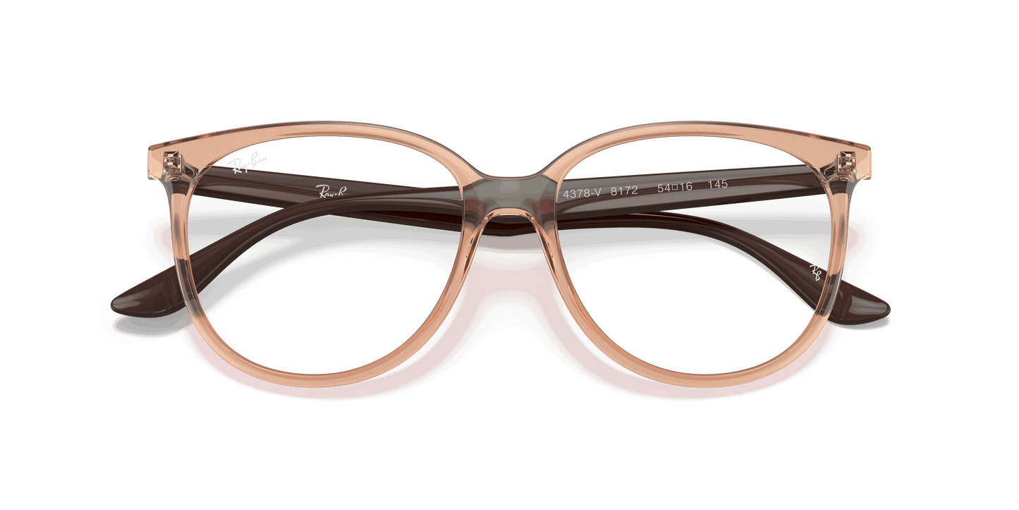 [Clear Lenses, Polished Transparent Brown Frame]