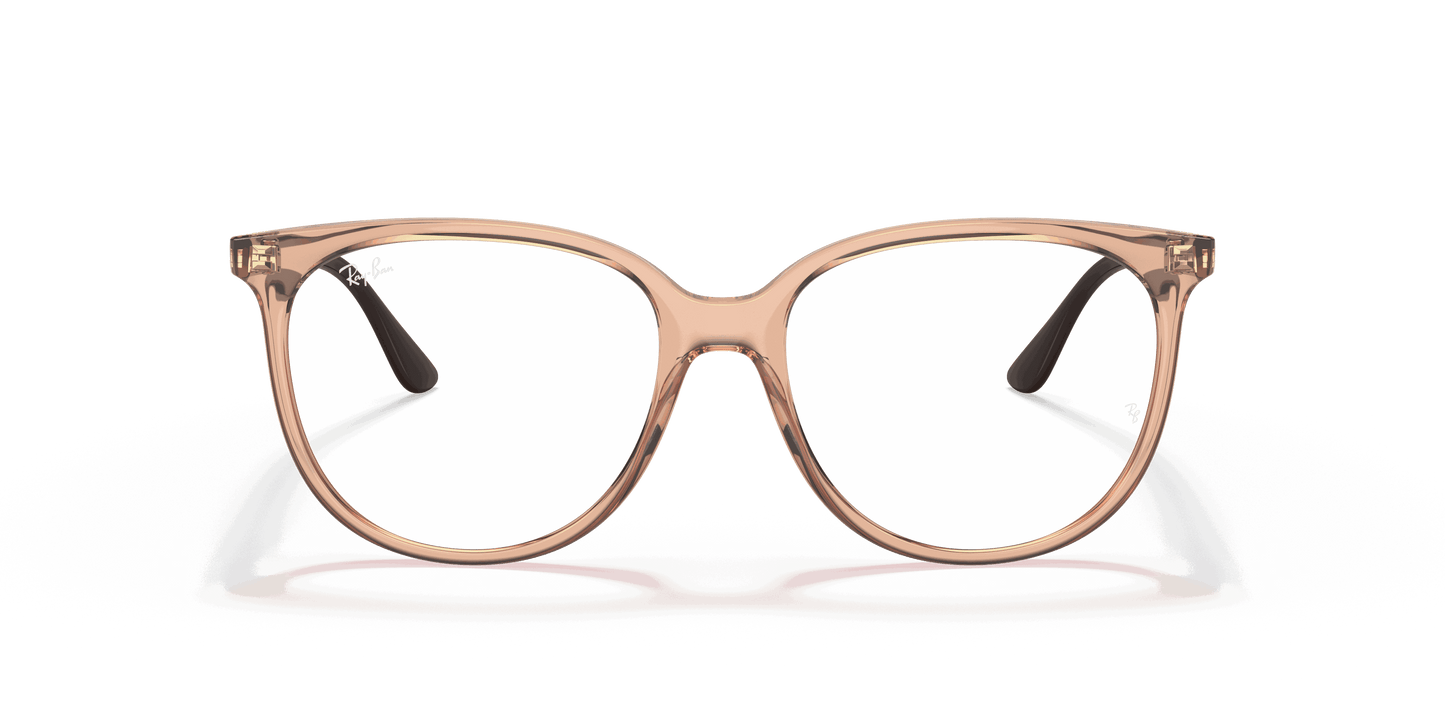 [Clear Lenses, Polished Transparent Brown Frame]
