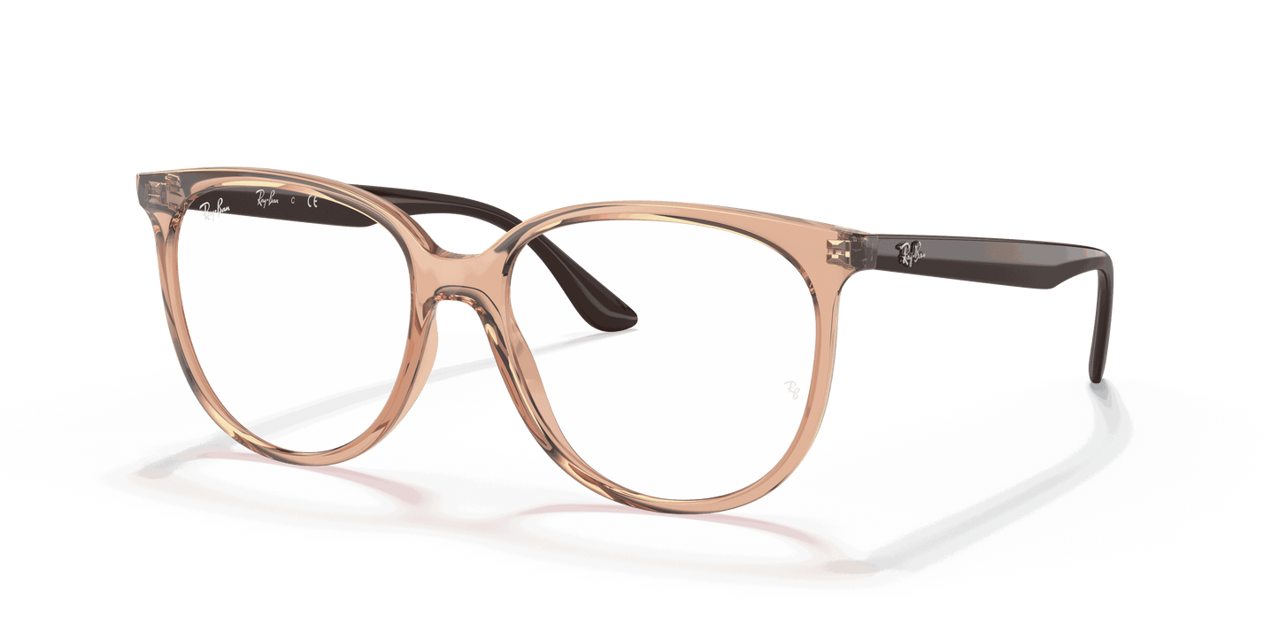 [Clear Lenses, Polished Transparent Brown Frame]